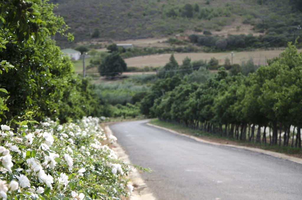 Bushmanspad Estate Boesmanspad المظهر الخارجي الصورة